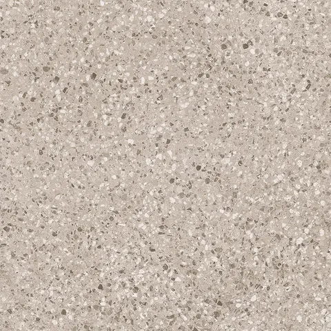 POLY CORAL view 3
